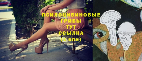 ПСИЛОЦИБИНОВЫЕ ГРИБЫ Алексин