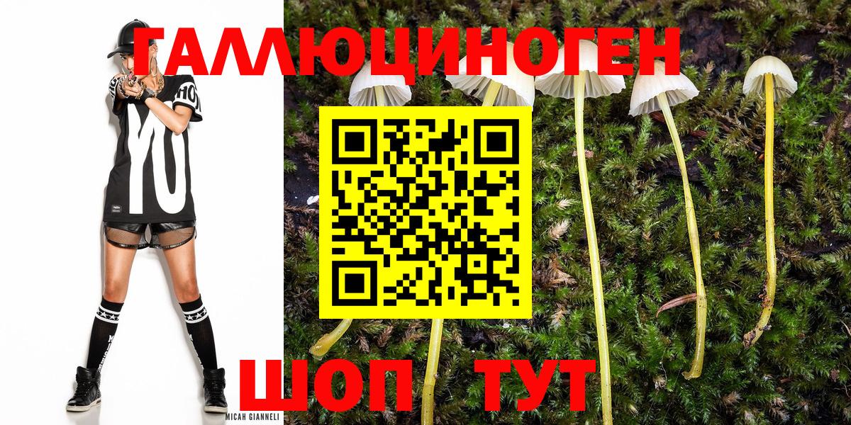Галлюциногенные грибы MAGIC MUSHROOMS  Вход с VPN  Йошкар-Ола 