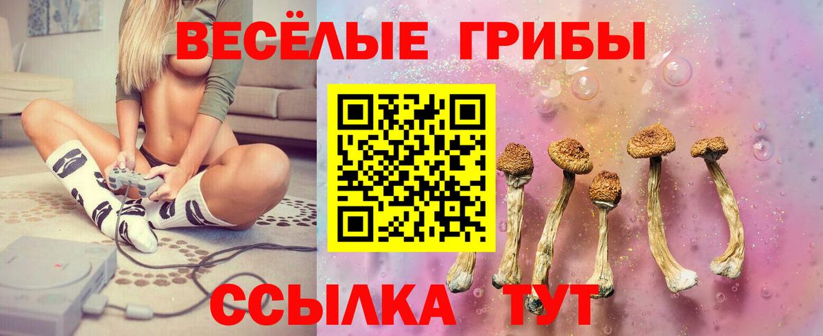Галлюциногенные грибы GOLDEN TEACHER Йошкар-Ола